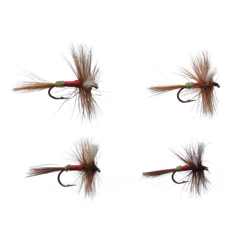 Cortland Fly Assortments